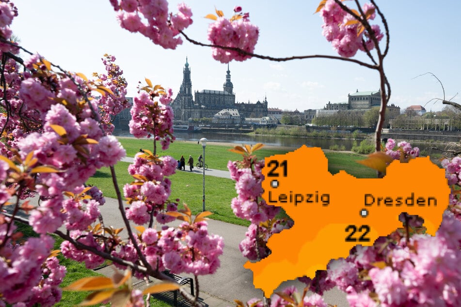 Das Wochenende wird in Sachsen wieder frühlingshaft.