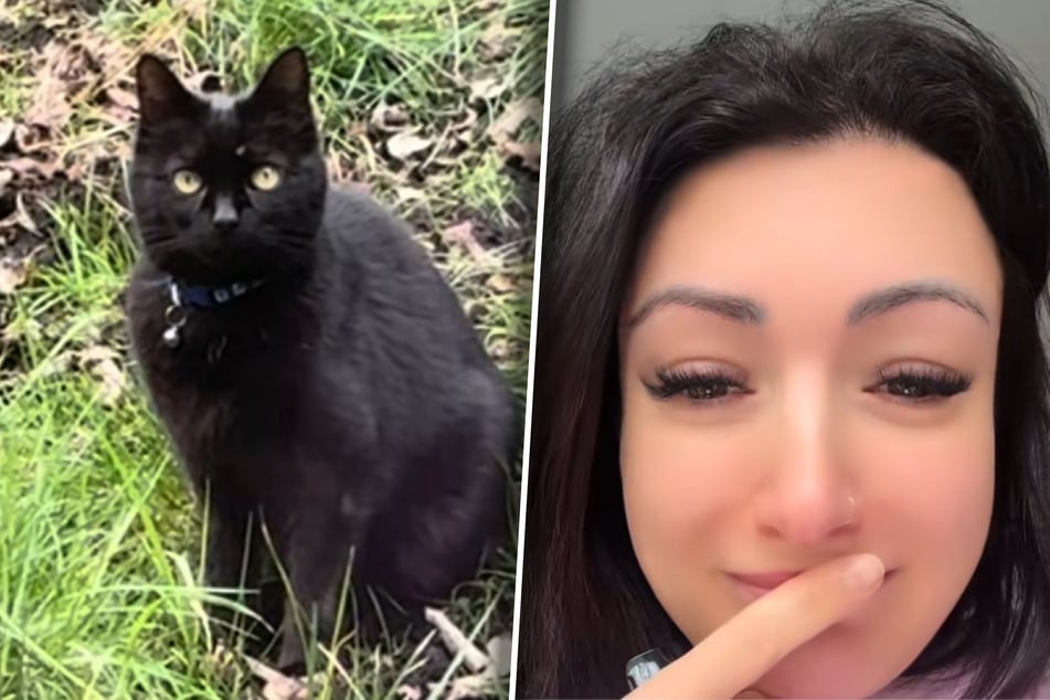 Katze taucht nach sieben Jahren wieder auf: Was dann passiert, bricht Besitzerin das Herz