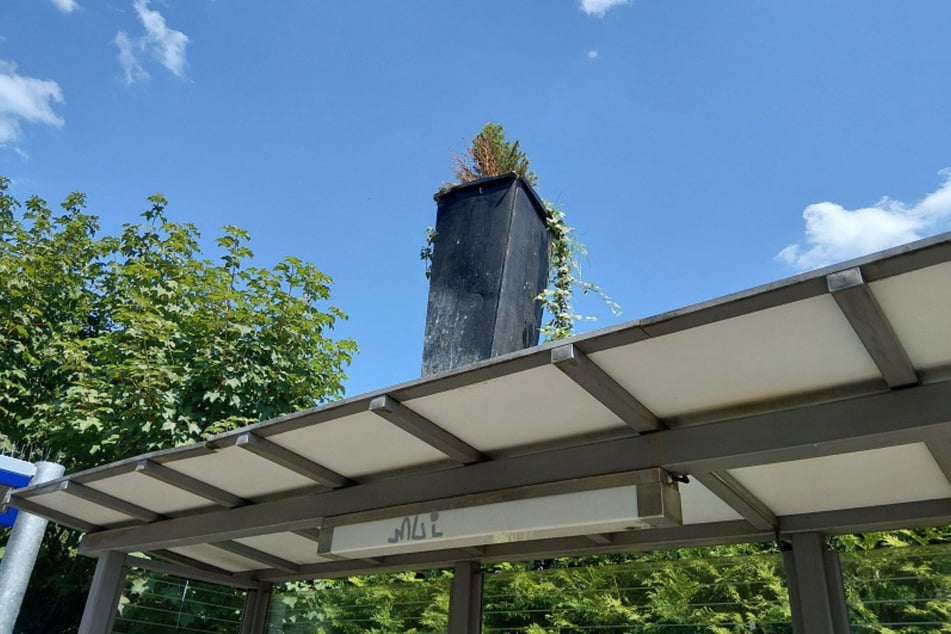Der 15-Kilo-Kübel hatte dort oben keinen sicheren Stand.