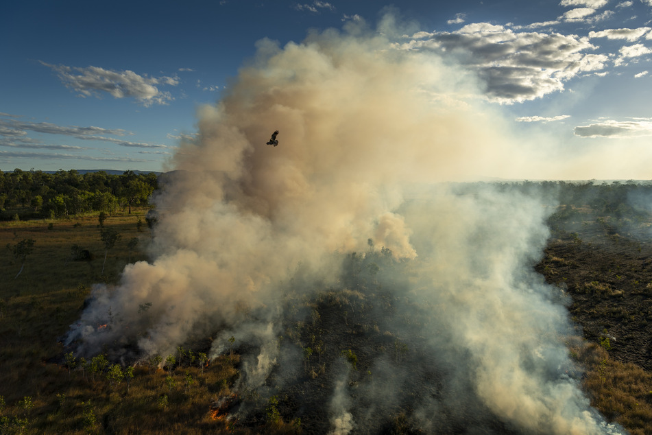 Rauch steigt über einem Landstrich in Australien auf. Matthew Abbott gewinnt mit seiner Serie den Preis in der Kategorie Photo Story des Jahres.
