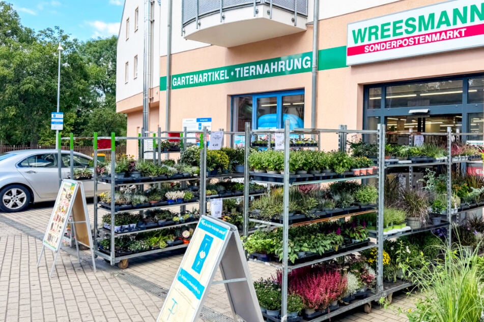 Wreesmann haut am Donnerstag (17.9.) diese Schnäppchen raus