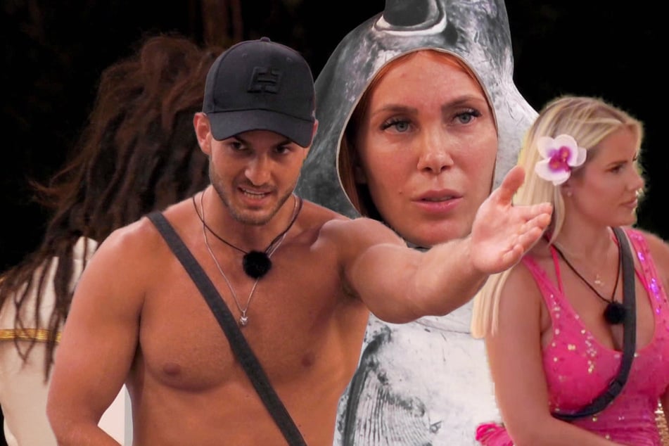 Kampf der Realitystars: "Komplett falsche Schlange" mischt Reality-Stars auf: "Mein Albtraum beginnt jetzt"