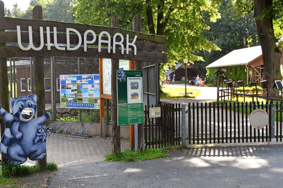 Auch der Wildpark Osterzgebirge hat es in die Top 100 geschafft.