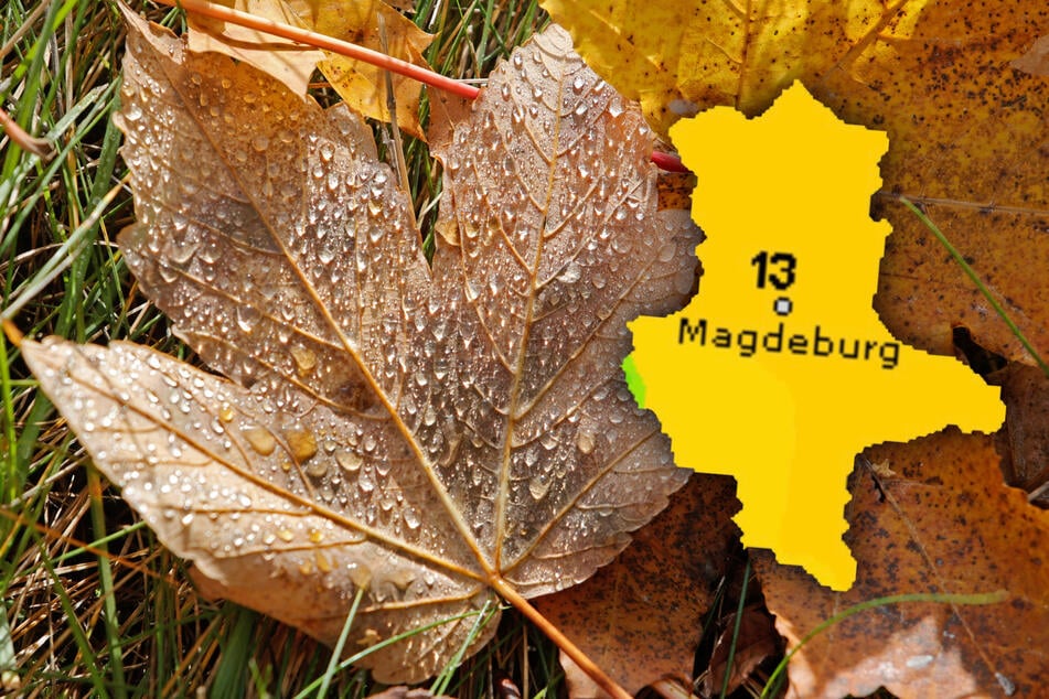 Das Wochenendwetter in Sachsen-Anhalt wird kühl und regnerisch.