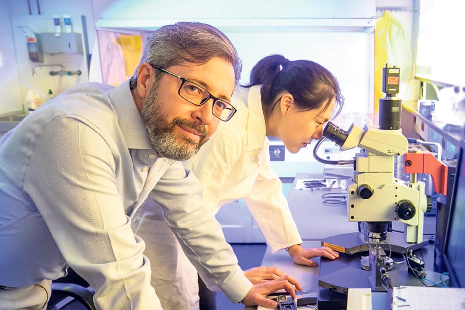 Will Maschinen den Geruchssinn beibringen: Professor Gianaurelio Cuniberti (51), Inhaber der TU-Professur für Materialwissenschaft und Nanotechnologie.