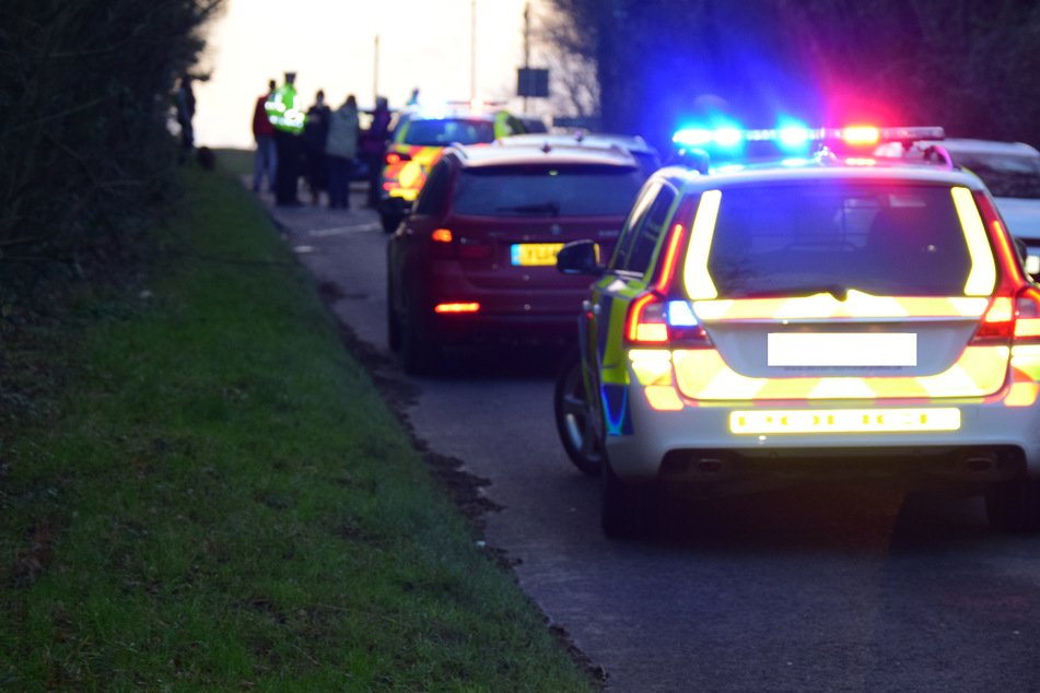 A driver presumably killed two people and a dog last Monday while driving at high speeds (stock image).