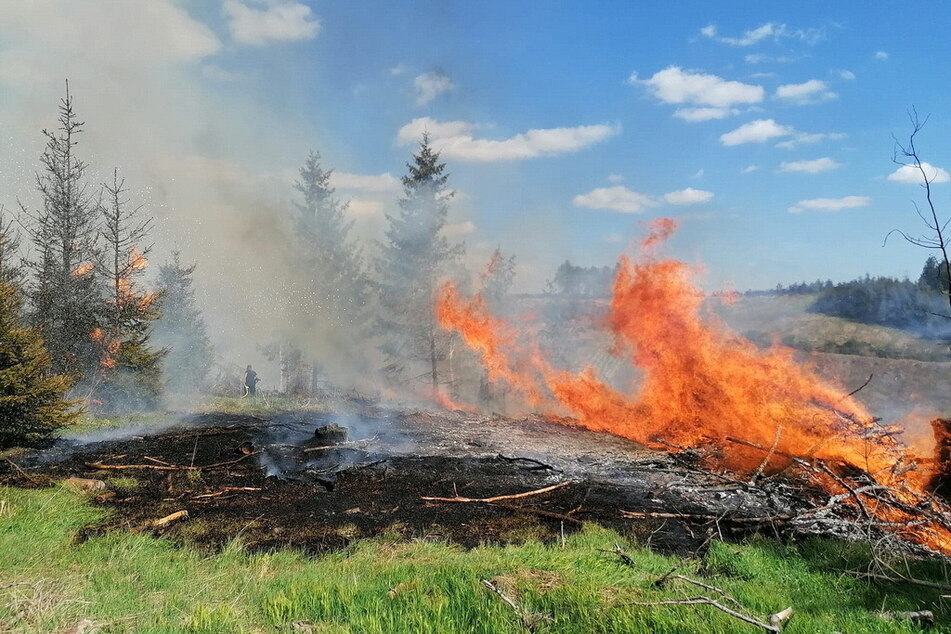 Waldbrand im Harz: 170 Feuerwehrleute und ein Hubschrauber kämpfen gegen die Flammen