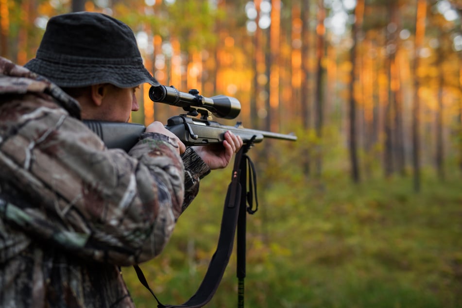 Jäger erschossen in Schweden 152 Bären in eineinhalb Tagen.