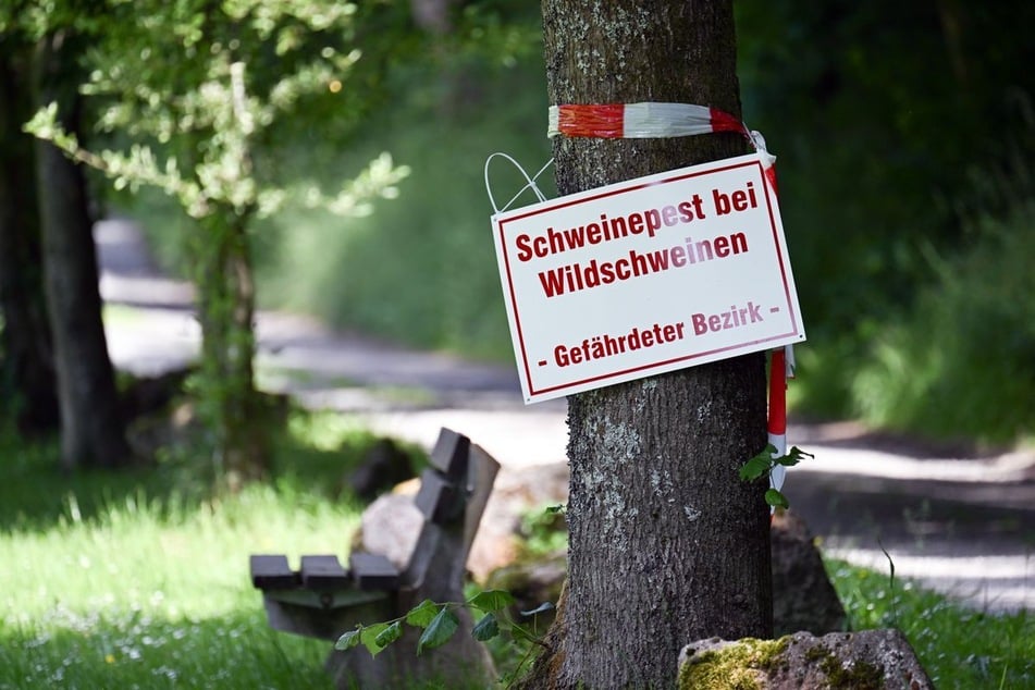 Ausgewiesene Wege dürfen in der betroffenen Region nicht mehr verlassen werden.