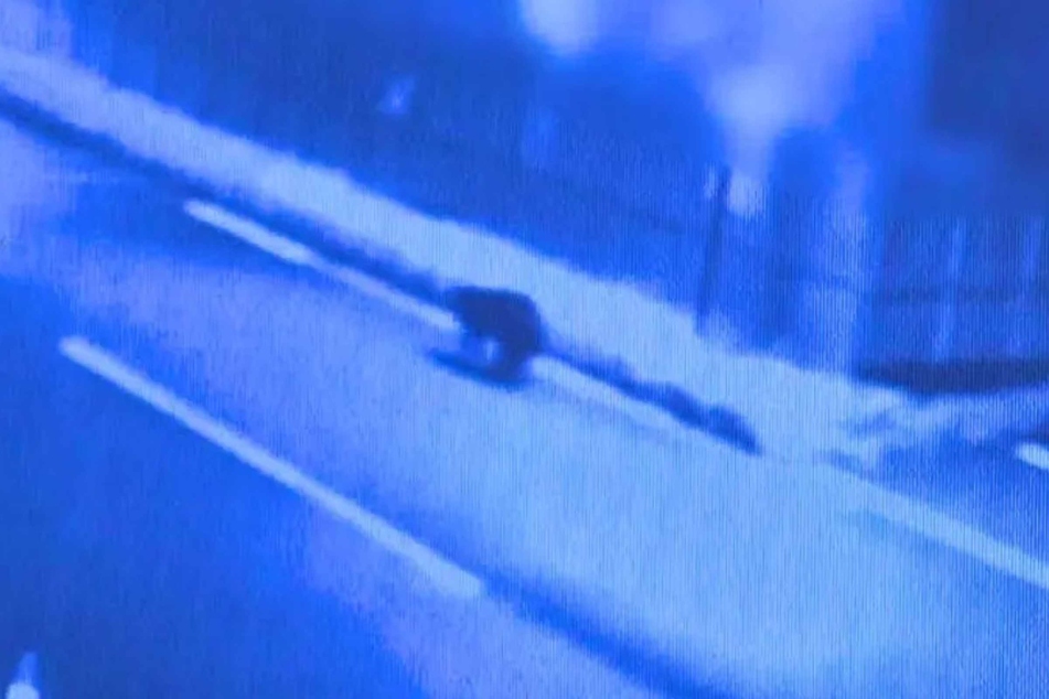 Surveillance footage shows the bear near the store on the day that the incident began.