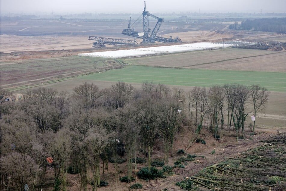 Nur noch ein kleiner Rest des Sündenwäldchens ist nach dem Beginn der Rodung durch RWE Power noch übrig.