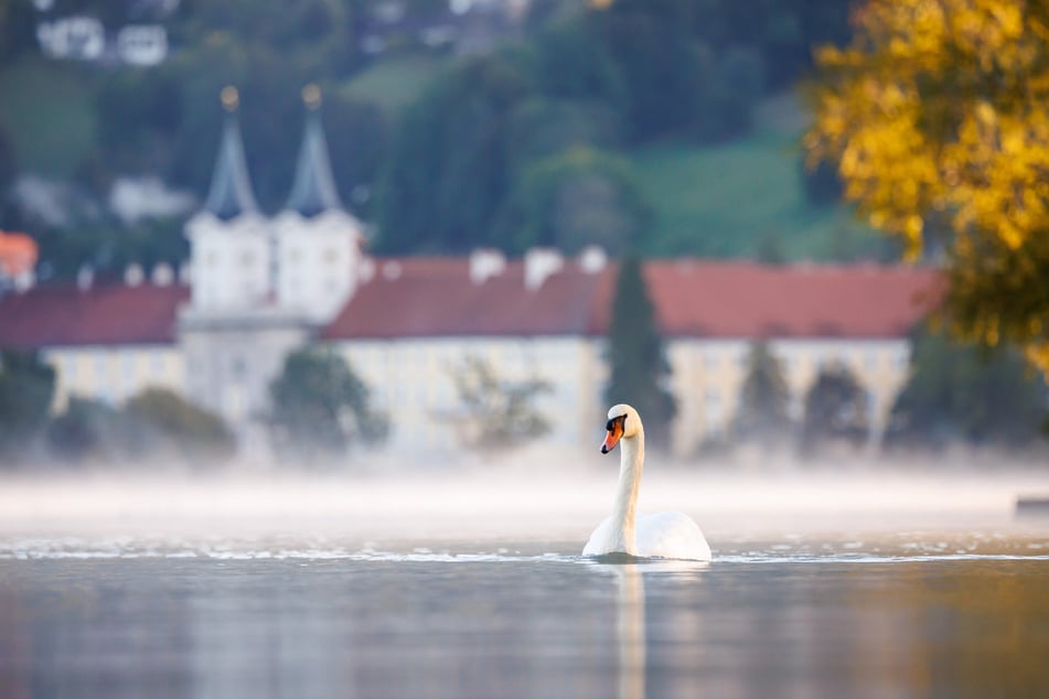 Schönheit und Reichtum werden seit hunderten Jahren am Tegernsee großgeschrieben. Was bleibt da für die Ortsansässigen übrig?