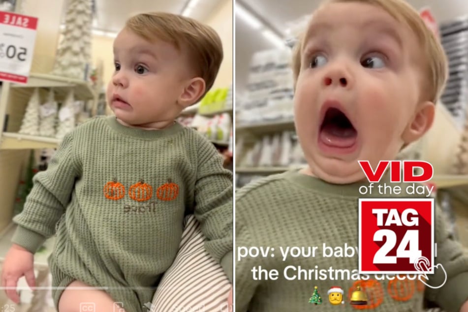 viral videos: Viral Video of the Day for November 19, 2024: Toddler's magical reaction to Christmas wonderland shop goes viral!