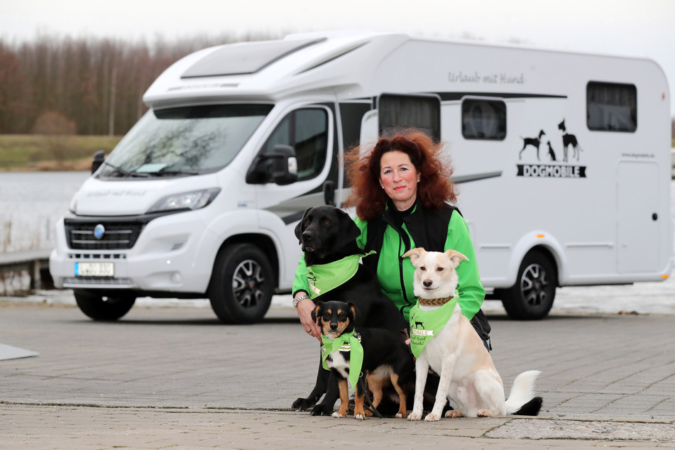 Unternehmerin Monika Eckstein-Scheffler (53) mit ihren Hunden Forrest, Louis und Valley (von groß nach klein).