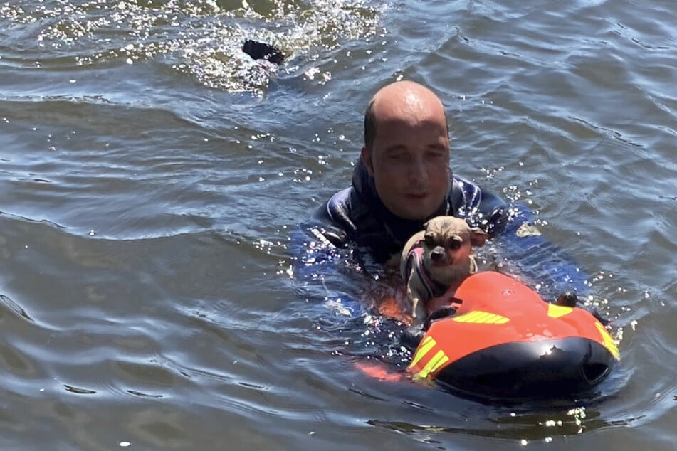 Ein Rettungstaucher der Feuerwehr Bremen konnte den Hund aus dem Wasser holen und sicher an Land bringen.