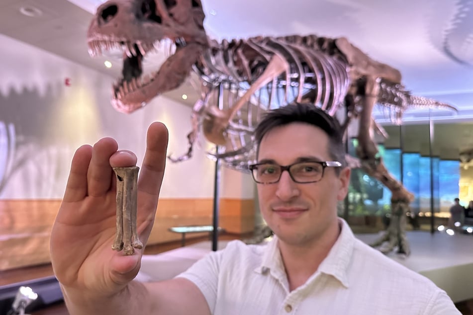 Der Wissenschaftler Alex Clark mit dem fossilen Fußknochen von Avisaurus darwini.