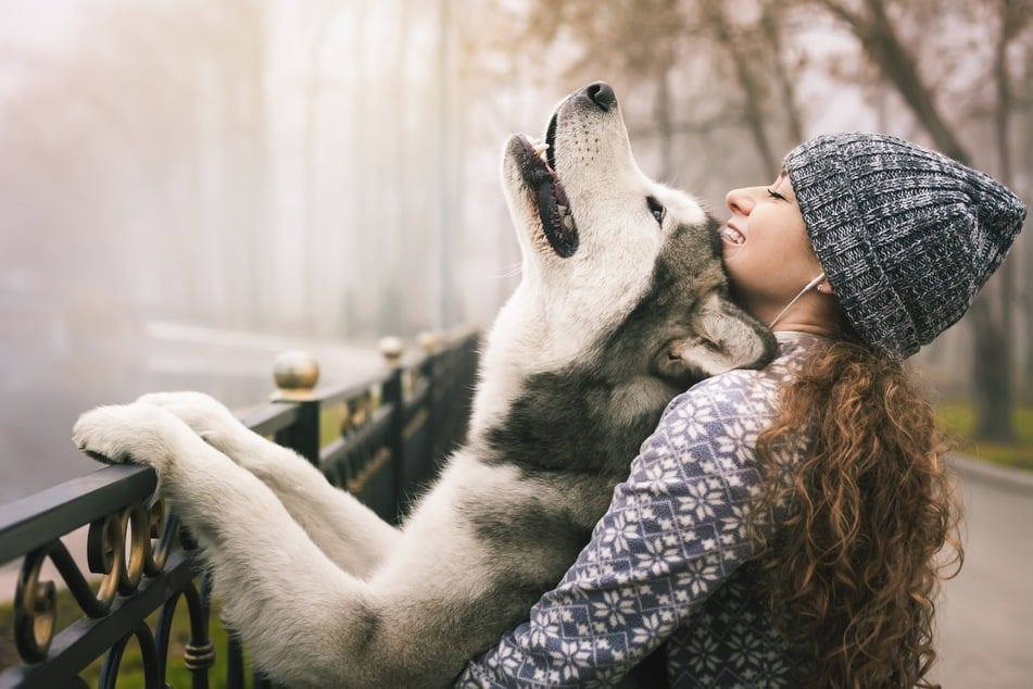 Es ist für Mensch und Tier wichtig, die Bindung zum Hund zu stärken.