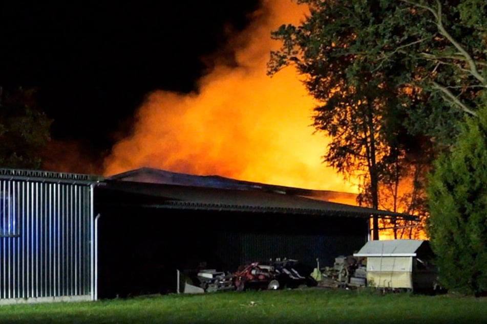 Eine halbe Million Schaden! 15 Pferde müssen bei Feuer auf Reitanlage gerettet werden