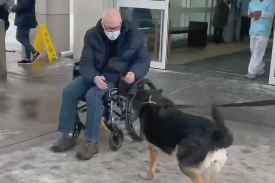 Footage shows man's heart-warming reunion with paramedic pooch who saved his life