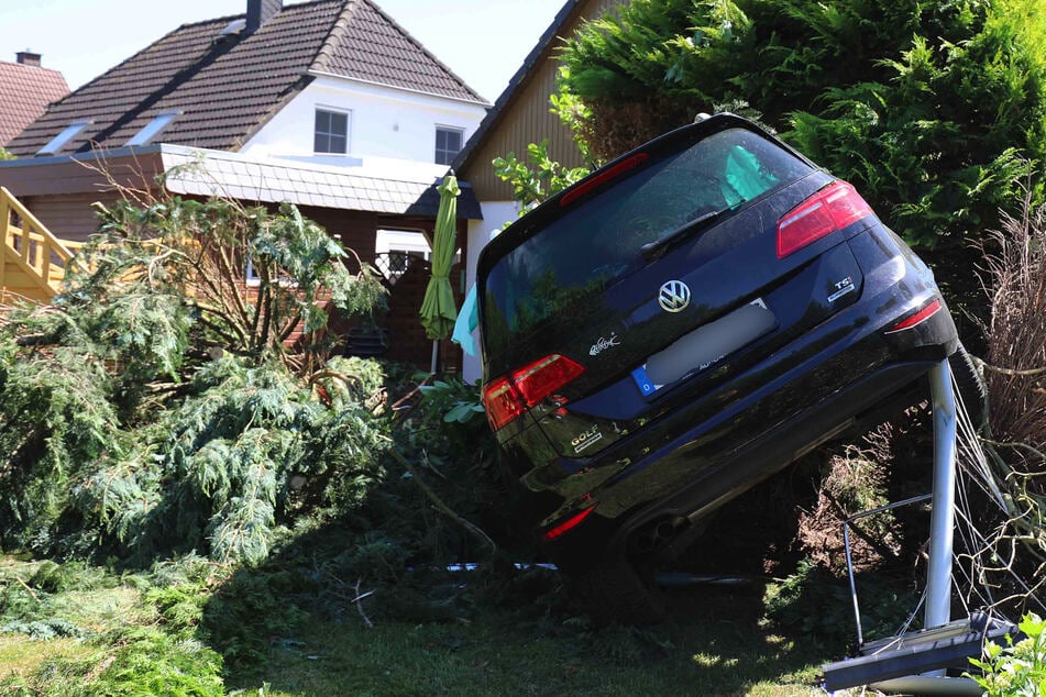 Auto kracht in Garten und fällt einen Baum: Bewohnerin feiert "dritten Geburtstag"