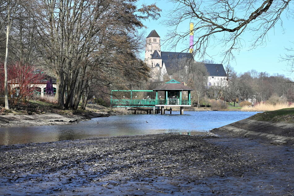 Der Wasserspiegel des Schloßteichs soll um etwa 1,20 Meter abgesenkt werden. (Archivbild)