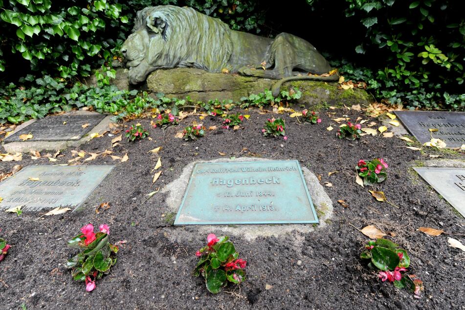 Vor sieben Jahren wurde die lebensgroße Statue des Löwens gestohlen.