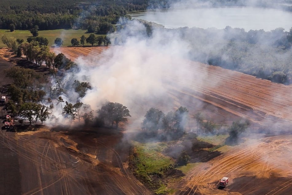 Pechschwarze Felder blieben nach dem Brand zurück.