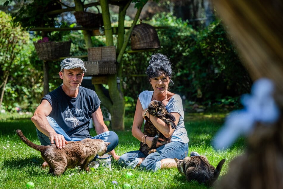 Annette und Tilo Baum pflegen in Halsbrücke alte und kranke Tiere.