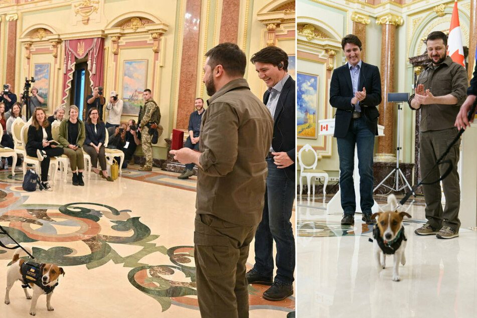 Canadian Prime Minister Justin Trudeau and Ukraine's President Volodymyr Zelenskiy honor the service dog Patron in Kyiv on Sunday.