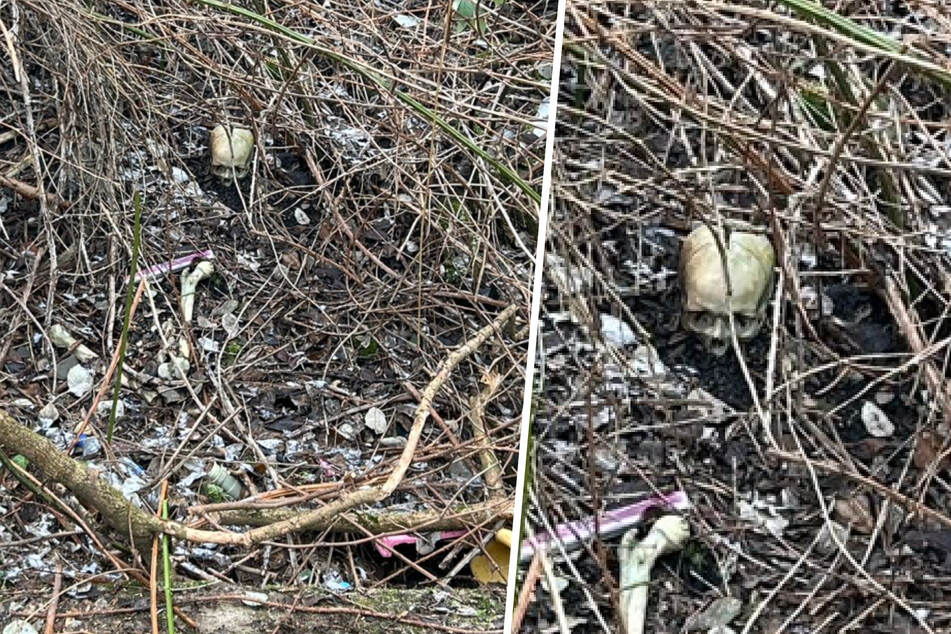 Grusel-Fund am Spielplatz: Passanten entdecken menschlichen Schädel