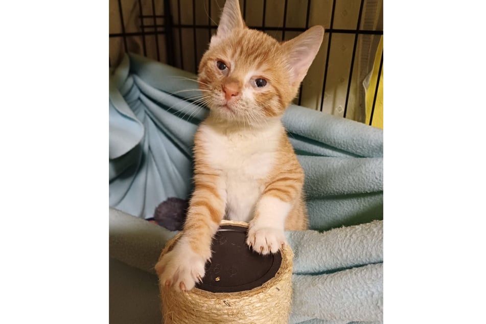 Robert kommt mit seiner kleinen Einschränkung wunderbar zurecht.