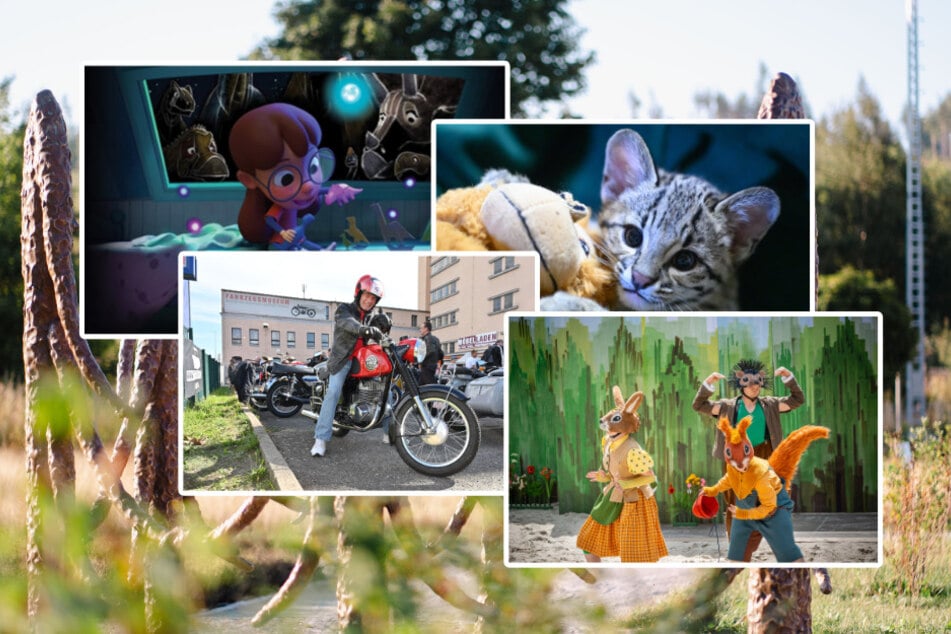 Neun Ausflugsziele für Euren Sonntag in Chemnitz und Umgebung