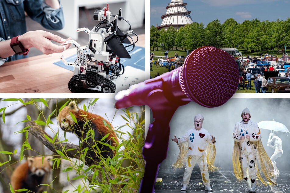 Langeweile am Samstag? Diese Events gehen in Magdeburg