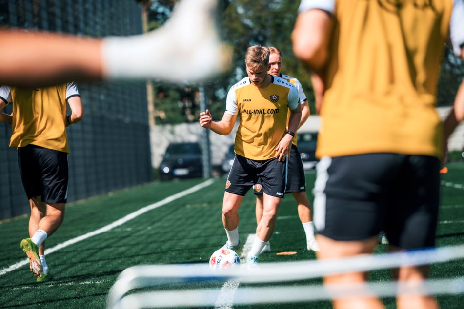 Mit diesen coolen Aktionen überbrückt Dynamo Dresden die Sommerpause