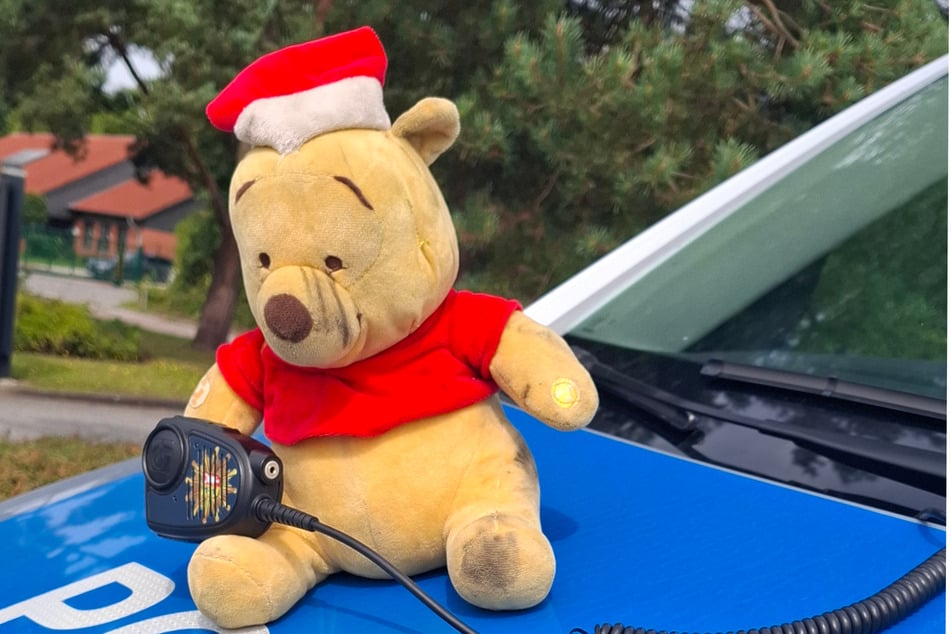 Oso en la A1: Winnie Pooh provoca una intervención policial