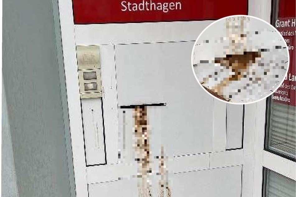 Zum zweiten Mal in wenigen Stunden wurde das SPD-Parteibüro in Stadthagen Opfer eines Fäkalien-Anschlags.