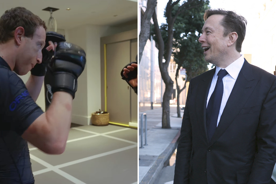 Elon Musk: Are Elon Musk and Mark Zuckerberg about to face off in a cage fight?