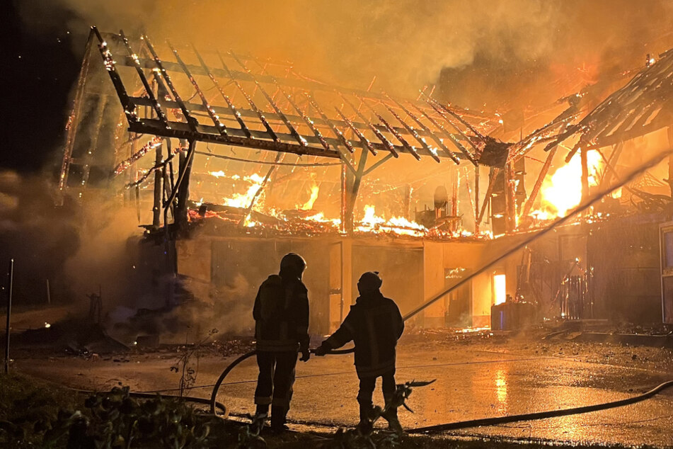 Flammeninferno auf Hof: Tote Tiere, verletzte Feuerwehrleute und Millionenschaden