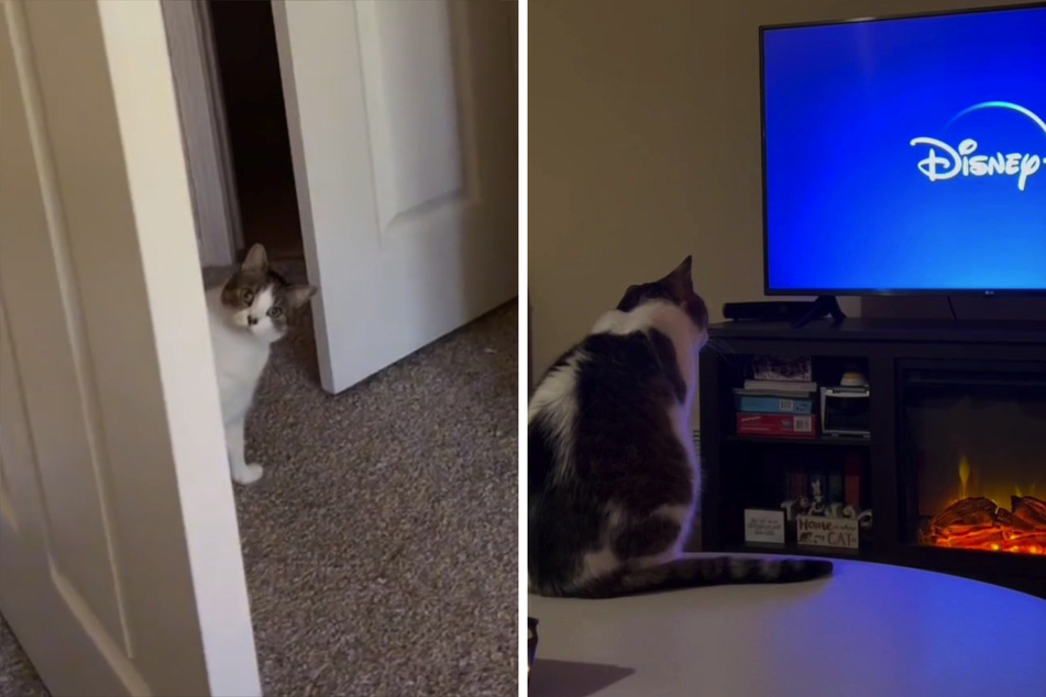 Every morning, Ella stands outside Emily Kalaygian's door waiting for the TV to turn on.