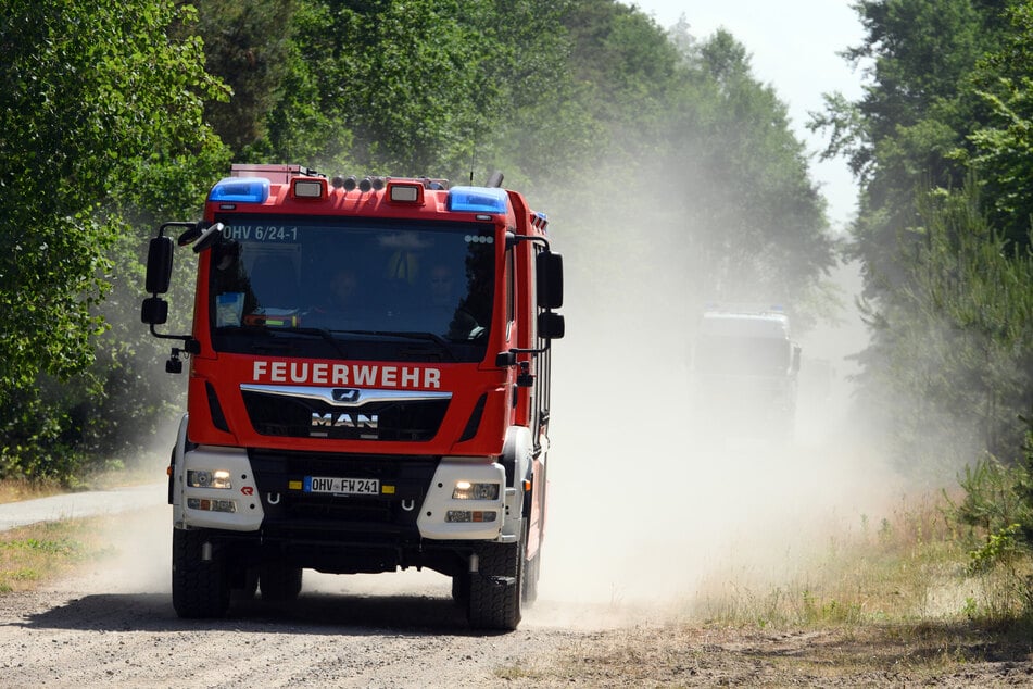 In weiten Teilen Deutschlands steigt die Waldbrandgefahr.