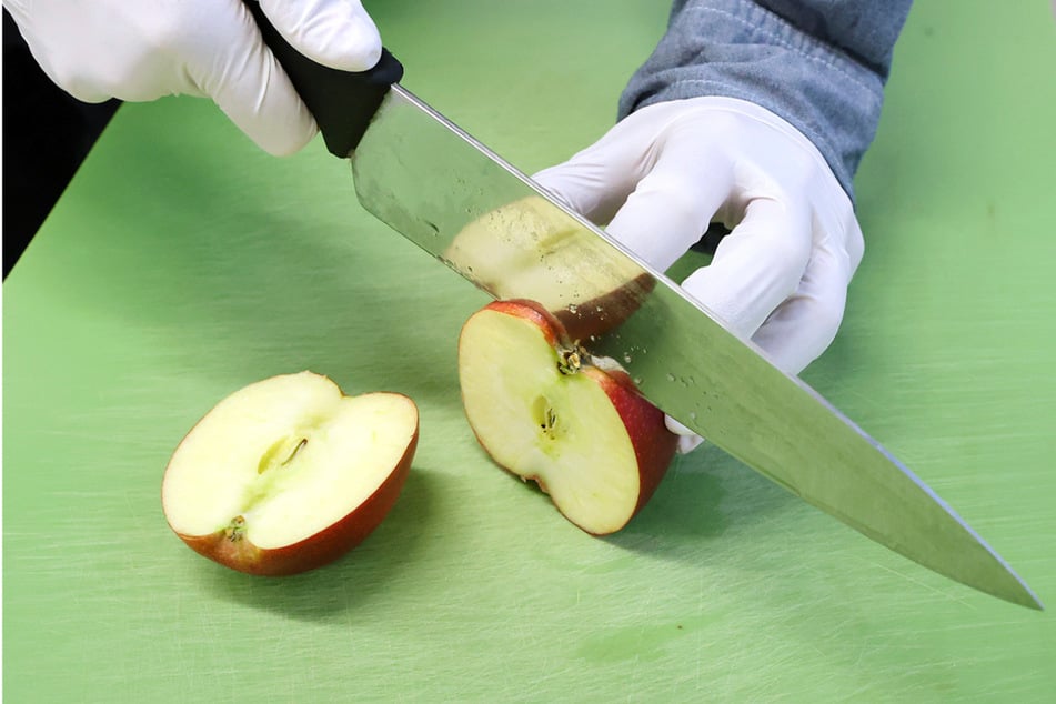 In der Küche des Studentenwerks Dresden wird mit Teamgeist und Leidenschaft für gutes Essen gearbeitet.