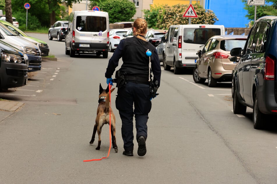 Auch ein Spürhund wurde angefordert, unter anderem für die Suche nach der Tatwaffe.