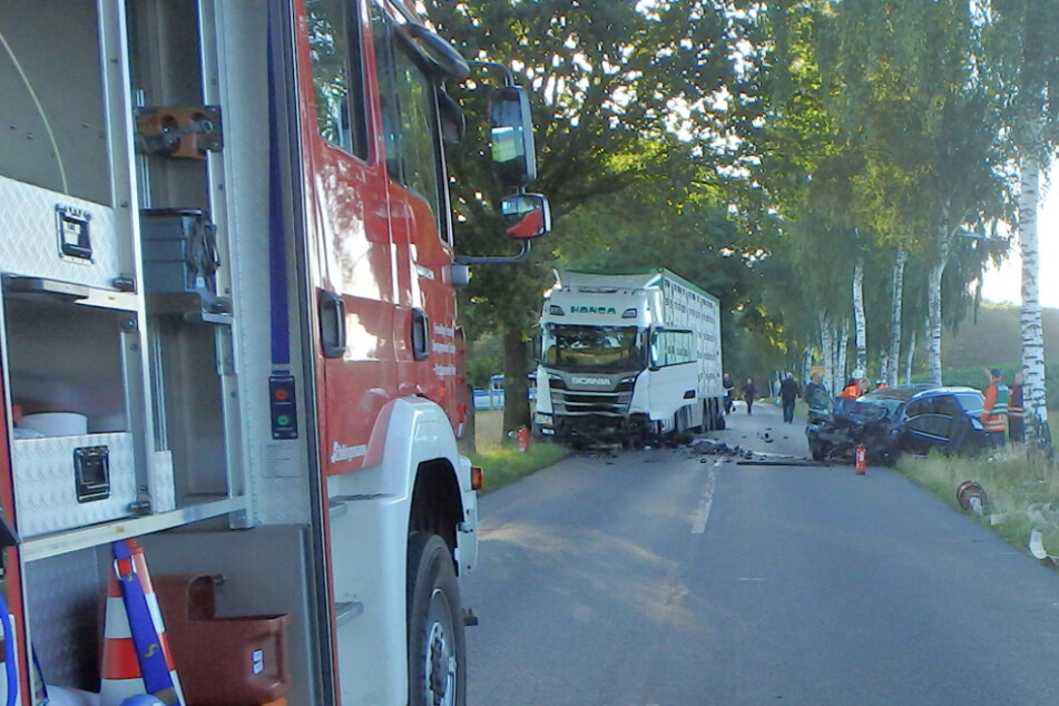 Der Fahrer des Viehtransporters konnte einen Zusammenstoß nicht mehr verhindern.