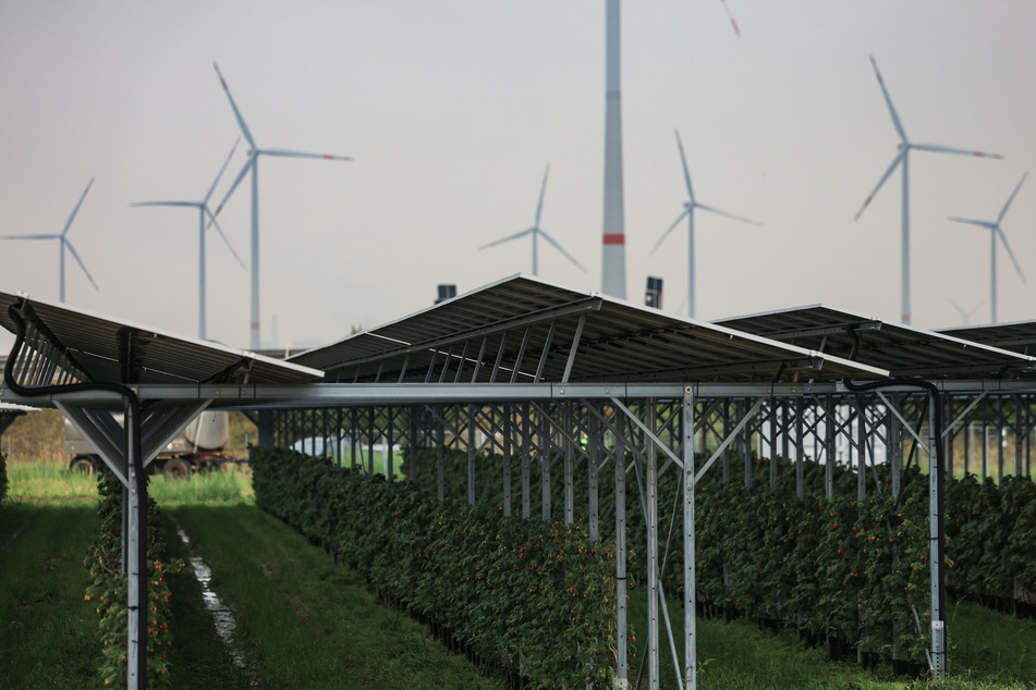 Ein wichtiges Ziel der Grünen ist der Ausbau von erneuerbaren Energien. (Symbolfoto)