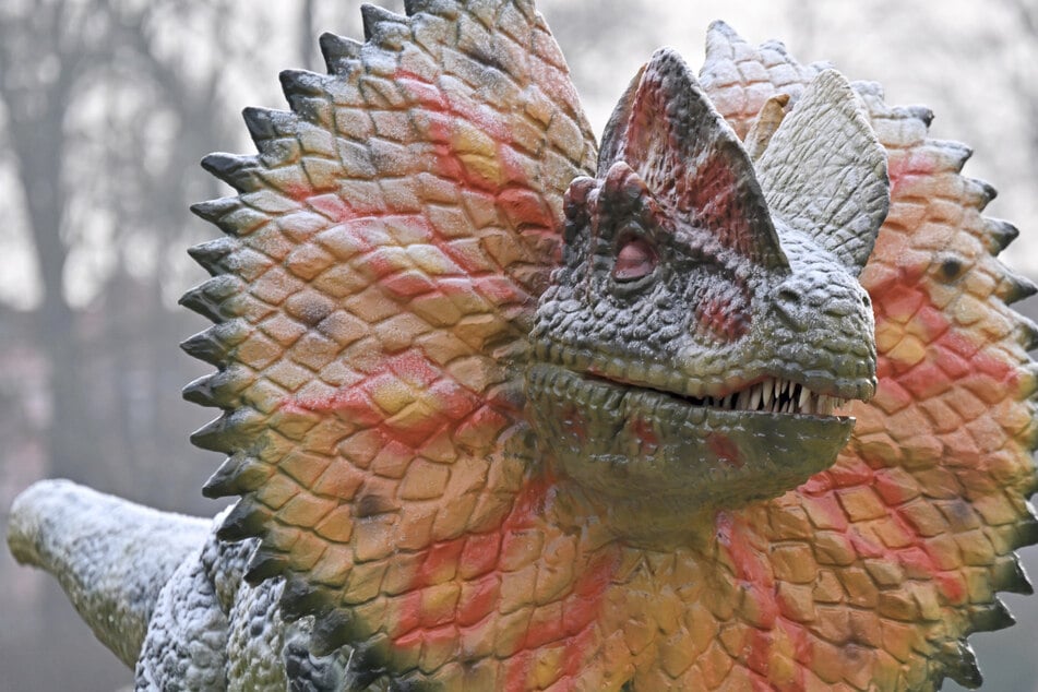 "Dino Lights": Wo in Erfurt lebensecht wirkende Urzeitechsen auf Euch warten