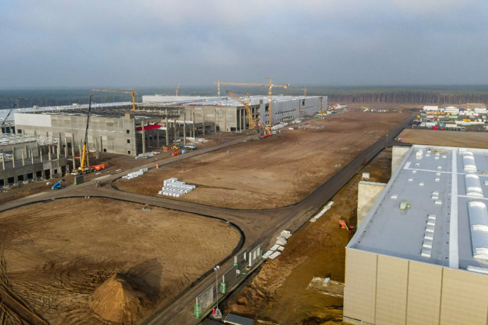 Schlappe für Tesla in Grünheide: Waldrodung für Gigafactory bleibt weiter ausgesetzt