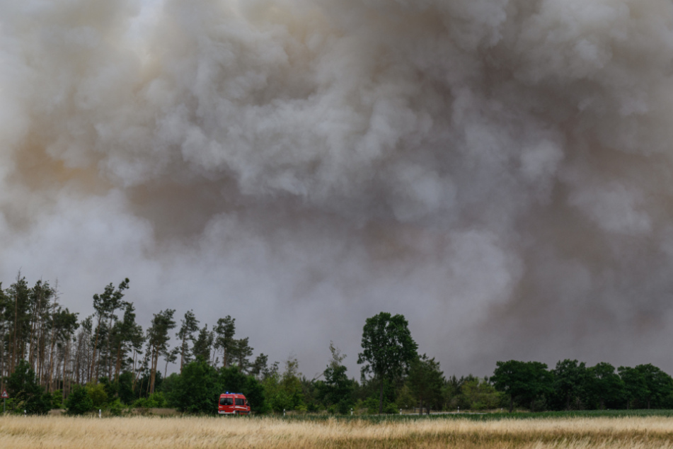 Eine gewaltige Rauchwolke hing über dem Waldbrandgebiet an der sächsischen Landesgrenze.