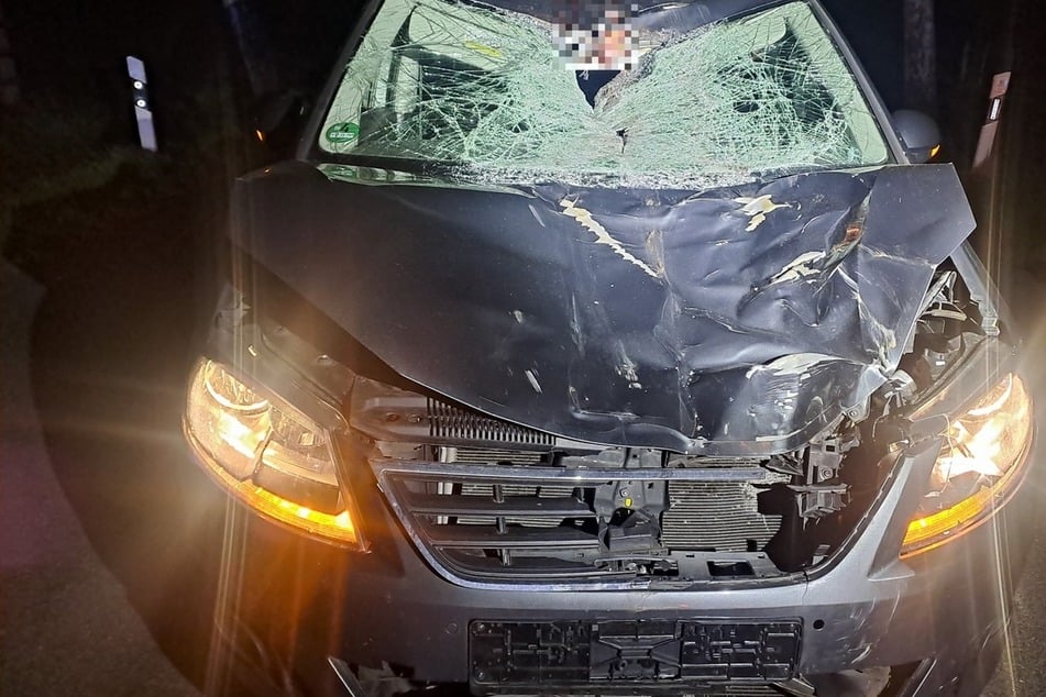 Am Freitagabend krachte ein Seat mit einem Pferd in Niedersachsen auf einer Landstraße zusammen.