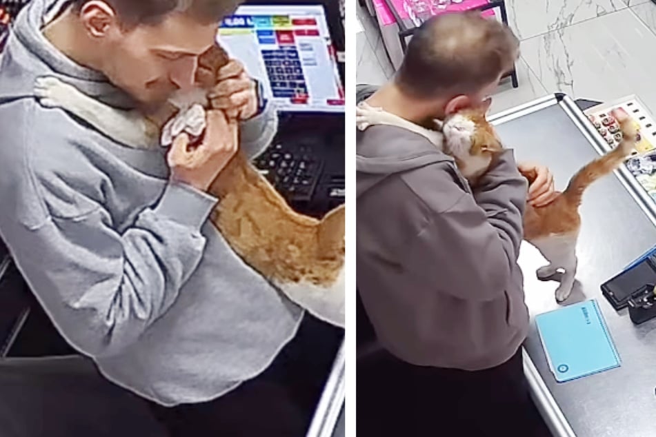Seitdem scheint sich das Tier täglich mit einer Umarmung bei dem Tierfreund zu bedanken.