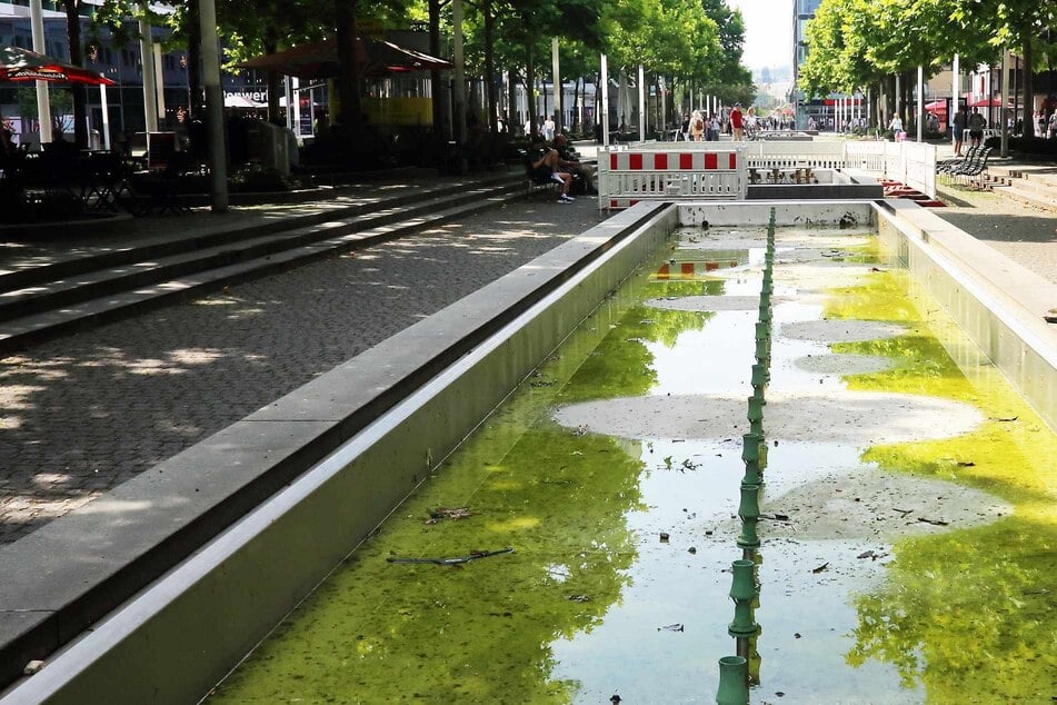 Dresden: Frittenfett greift Brunnen an Prager Straße an: Daher stammt das ausgekippte Öl